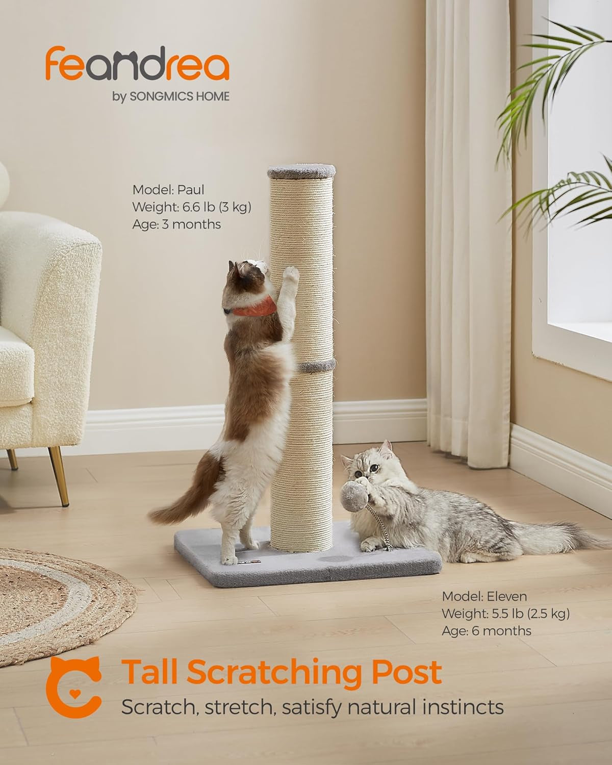 Cat Scratching Post Sisal