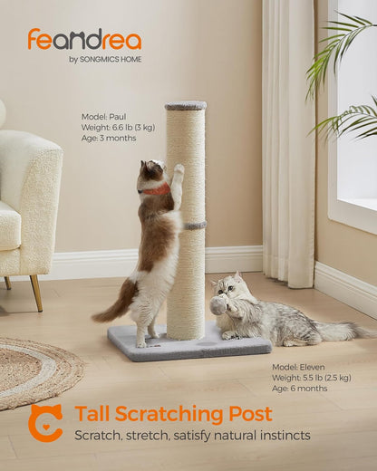 Cat Scratching Post Sisal